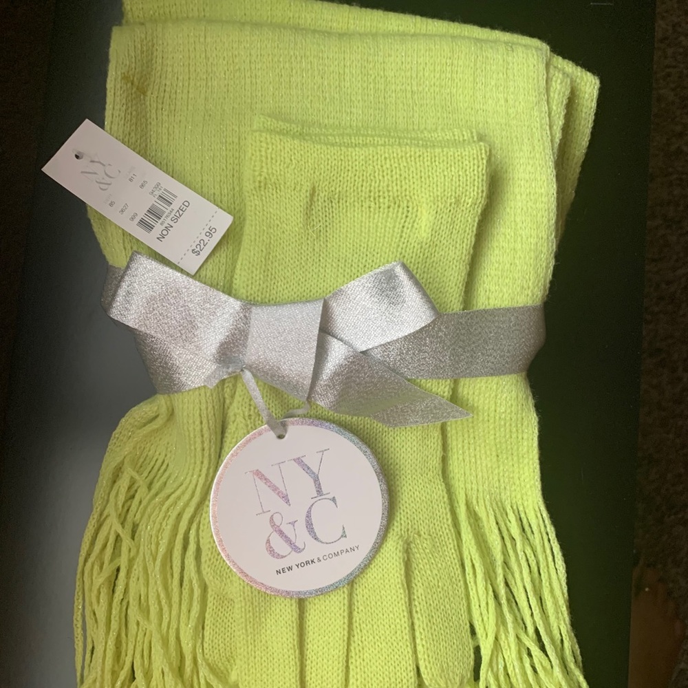NWT 2 pc scarf and glove set